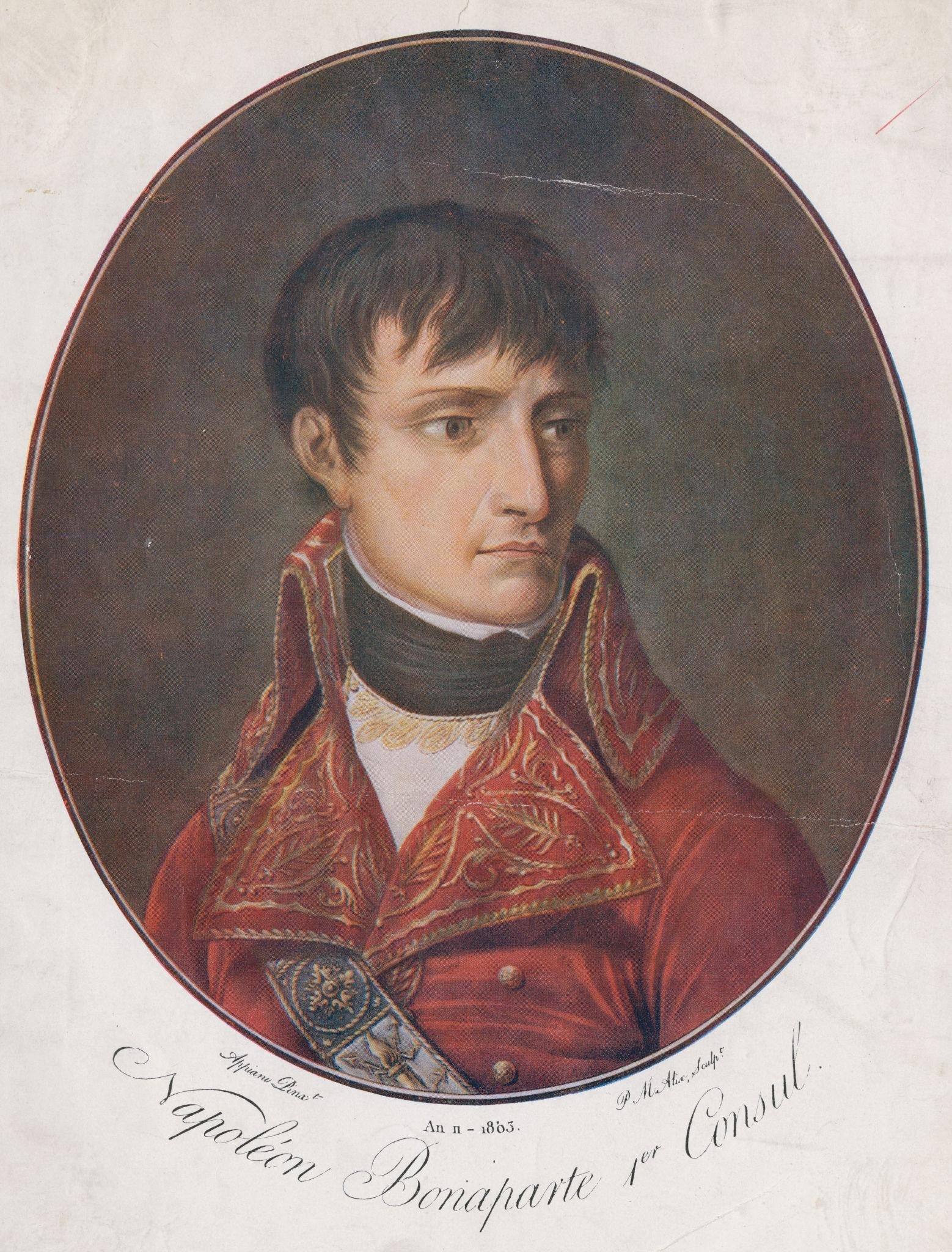 Napoleon schilderij